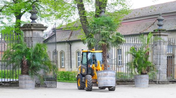 Die Palmen auf Schloss Weißenstein in Pommersfelden ziehen von ihrem Winterquartier, dem Palmenhaus, in den Ehrenhof um. Mit dem Radlader sind Anja und Michael Schlapp zugange.