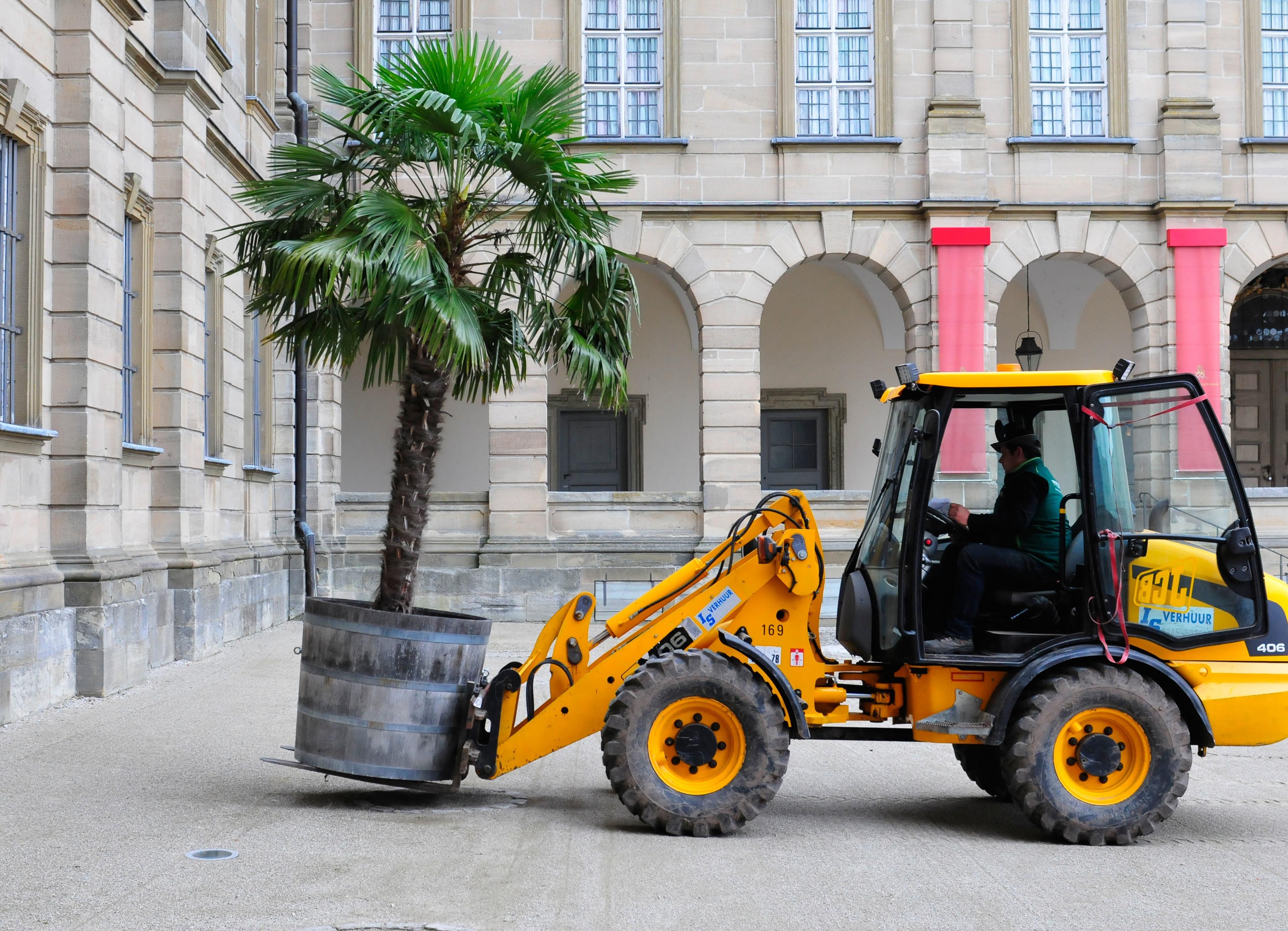 Die Palmen auf Schloss Weißenstein in Pommersfelden ziehen von ihrem Winterquartier, dem Palmenhaus, in den Ehrenhof um. Mit dem Radlader sind Anja und Michael Schlapp zugange.