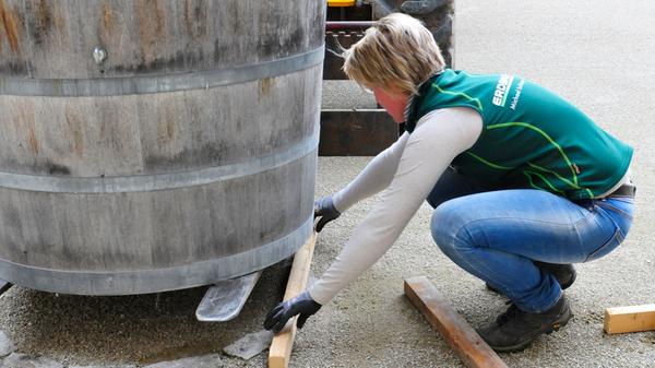 Die Palmen auf Schloss Weißenstein in Pommersfelden ziehen von ihrem Winterquartier, dem Palmenhaus, in den Ehrenhof um. Mit dem Radlader sind Anja und Michael Schlapp zugange.