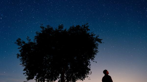 Zudem gibt es den Sternenpark Westhavelland etwa 70 Kilometer nordwestlich von Berlin und den Nationalpark Eifel in Nordrhein-Westfalen.