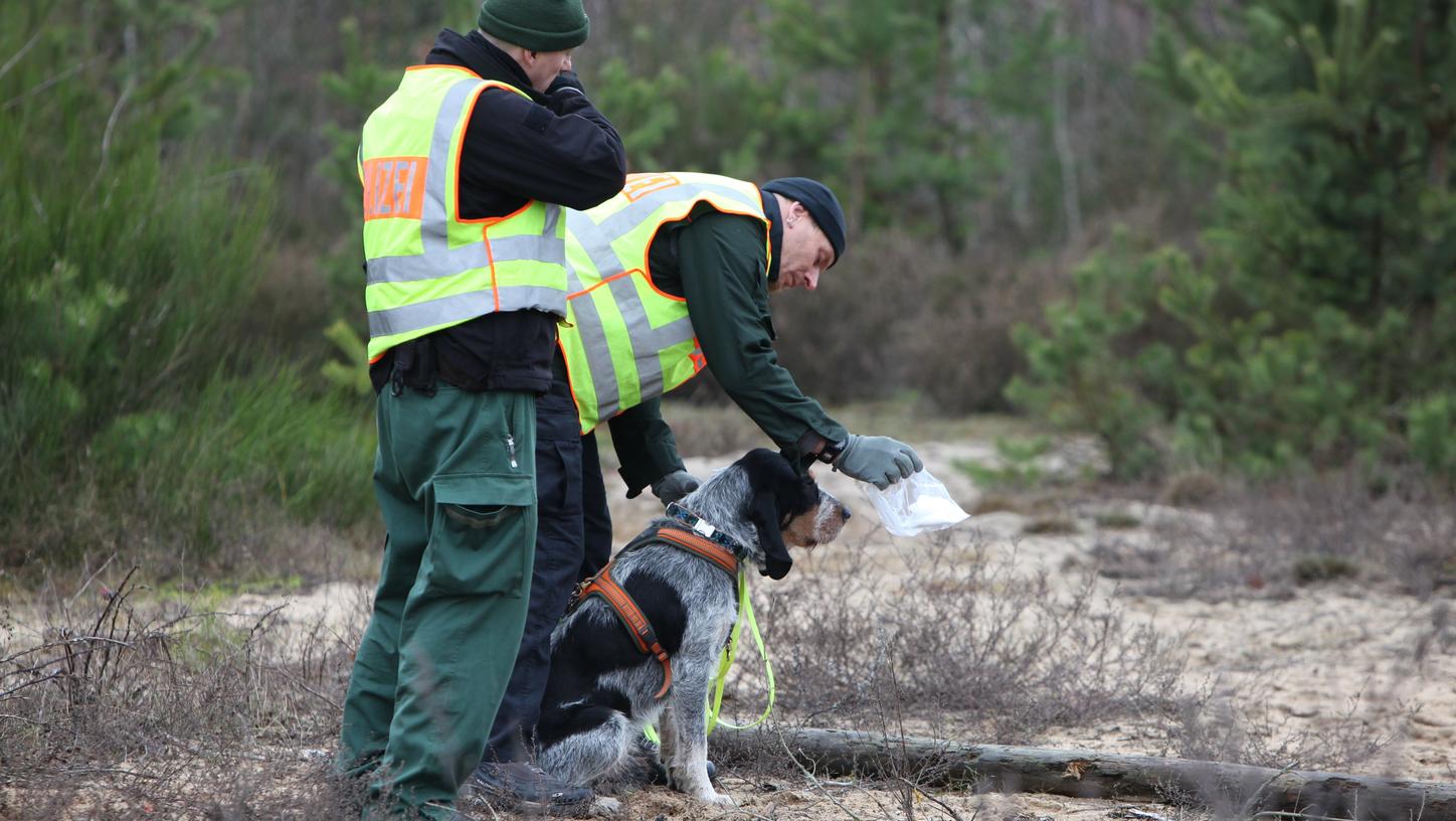 Suchhunde leisten ganze Arbeit