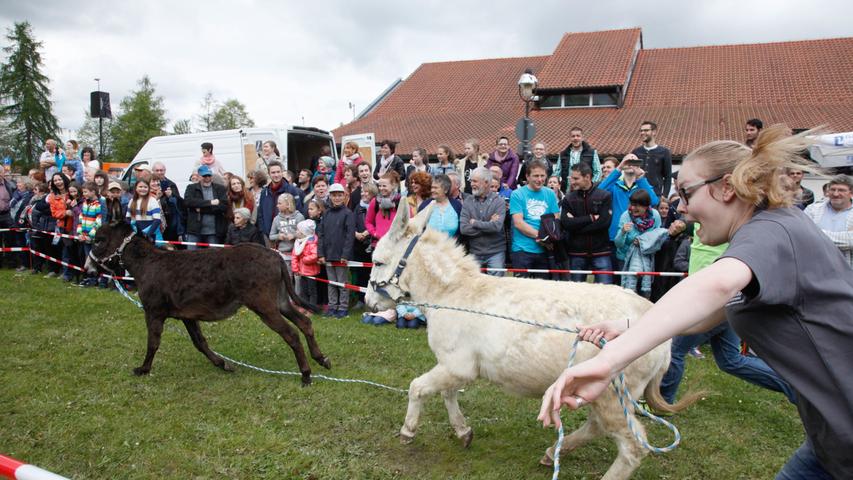 Ein I-ah-Spektakel: Bilder vom 14. Neumarkter Eselrennen