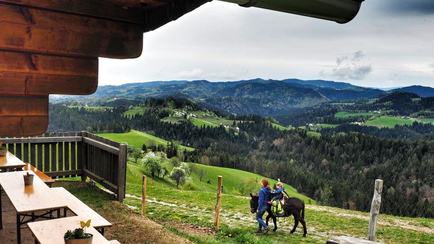 Nach einer Jause in dieser Hütte geht es weiter auf dem Panoramaweg. Sie steht genau auf der Grenze, hinten liegt Slowenien.