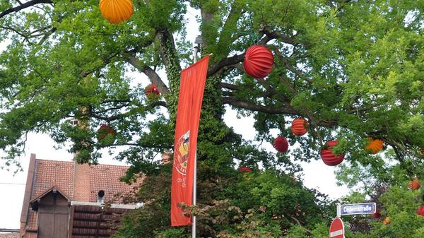 Die Steinbach-Bräu in Erlangen besticht durch Innenstadtlage und - natürlich - original Bergkirchweihbier. - Lauschiges Plätzchen unter großen Bäumen mitten im Zentrum: Dieser Biergarten ist beliebt, hat aber daher nicht immer Platz für jeden. - Aufgetischt werden leckere Bier-Spezialitäten aus dem eigenen Haus und fränkische kulinarische Köstlichkeiten. - Besonders schön ist die Beleuchtung durch Lampions. - Die Brauerei hat sogar ein eigenes Biermuseum und bietet Führungen an.