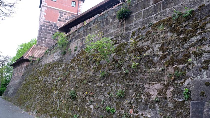 Nein, die historische Stadtmauer wird wohl noch eine Weile stehen: Ein Bericht über die Kulturinitiative, die Nürnberg von dem einengenden Bauwerk im Mai befreien wollte, hat hohe Wellen geschlagen. Das steckte hinter der Forderung der nicht ganz ernstgemeinten Initiative.