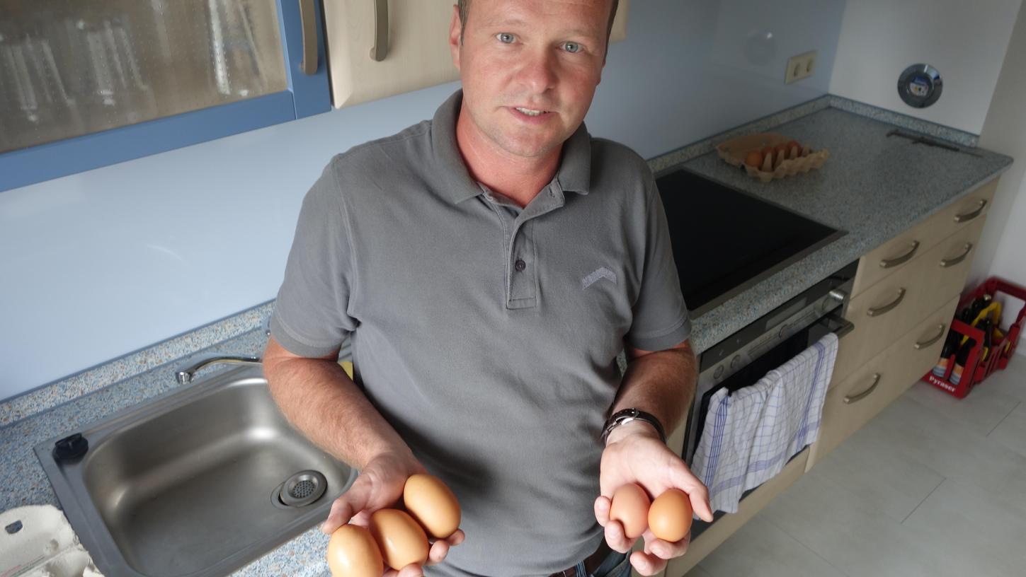 Giganten-Eier aus Großhabersdorf geben Rätsel auf