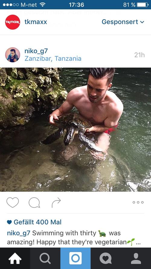 Niko Gießelmann ist froh, dass ihn die Schildkröten auf Sansibar nicht fressen. Das würden die Tiere über ihn auch schreiben, wenn sie Instagram hätten.
