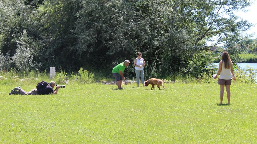 Fotoshooting Hunde im Tierheim Forchheim..Foto: Nina Eichenmüller