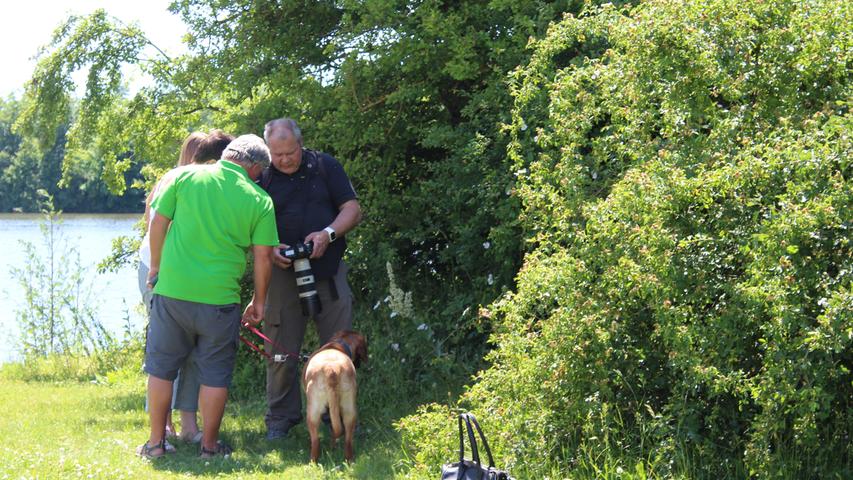 Charity-Shooting im Tierheim Forchheim: Knipsen für den guten Zweck