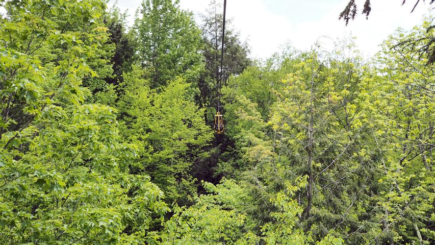 Damit können Besucher ohne Höhenangst bis zu 33 Meter über dem Boden einen Kilometer lang durch Baumkronen fahren.