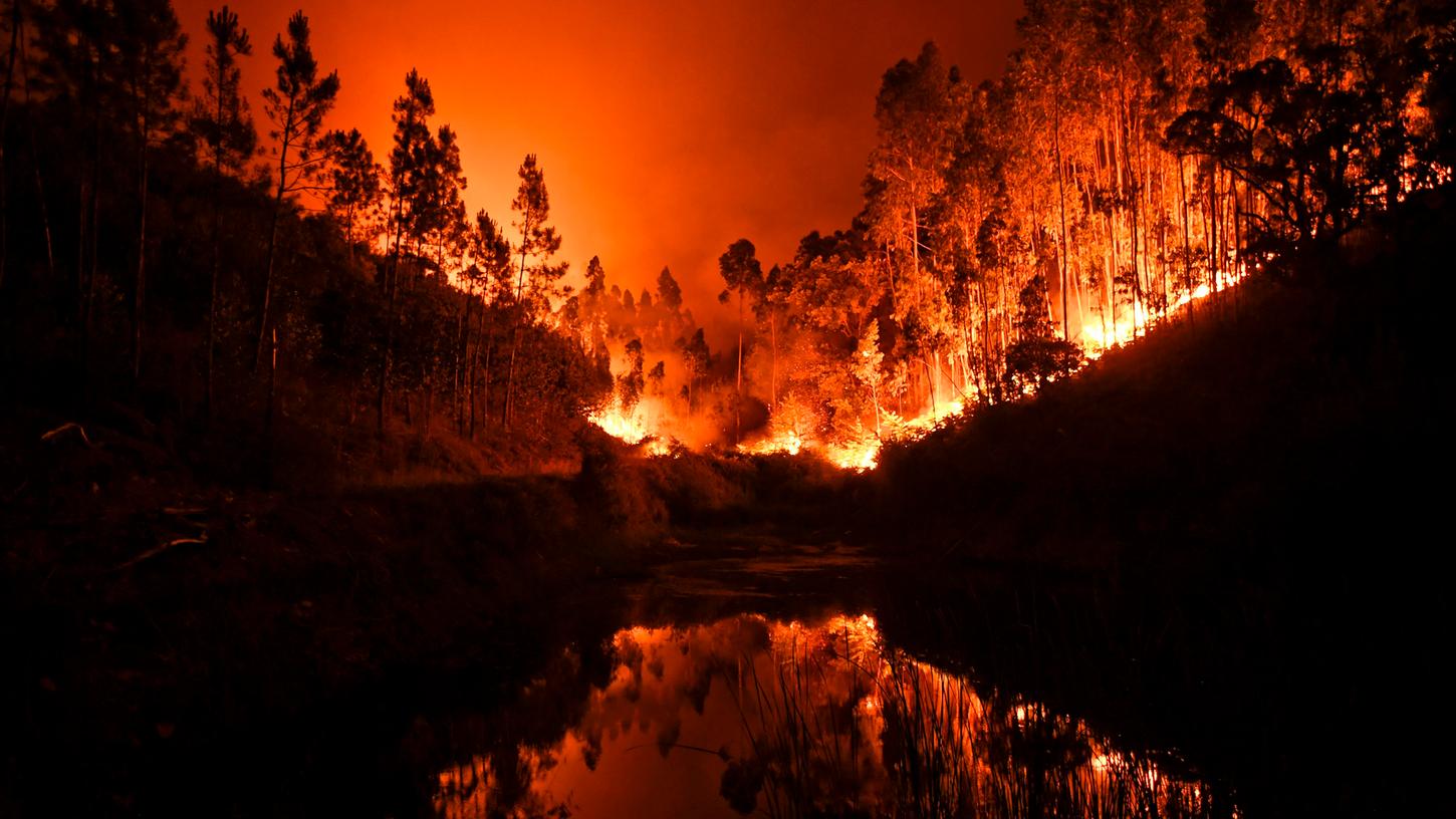 Mindestens 62 Menschen sind bei einem verheerenden Waldbrand in Portugal gestorben.