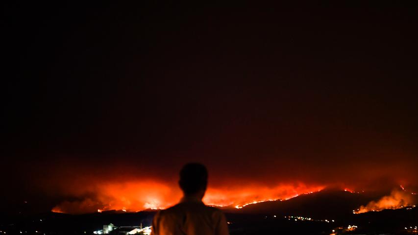 Brandkatastrophe in Portugal: Mindestens 62 Menschen sterben