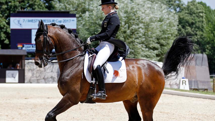 Eleganz zu Pferde: Dressurgala in Heroldsberg