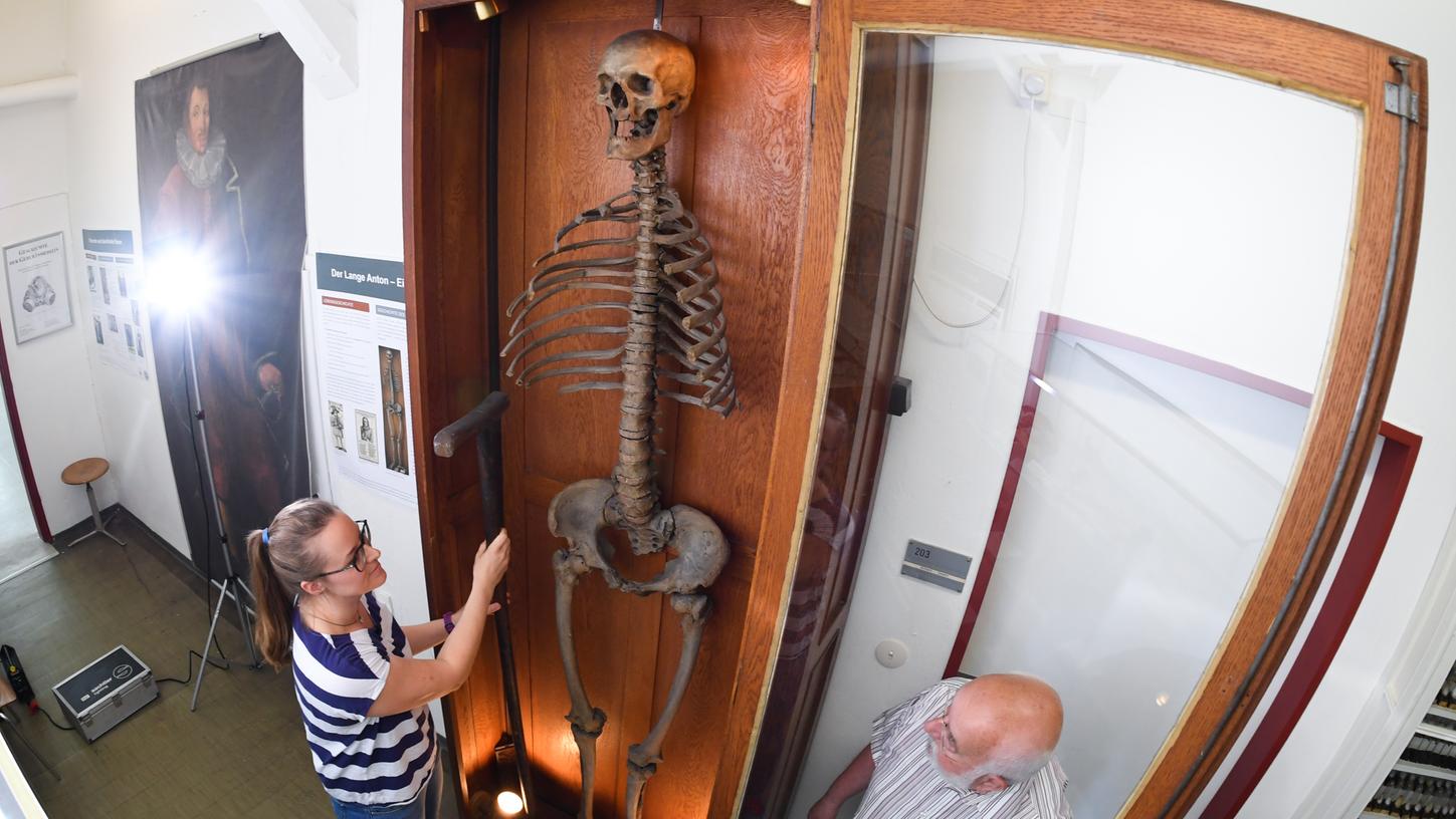 Skelett von 2,40-Meter-Mann kommt nach Nürnberg
