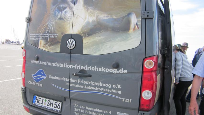 Seehundbaby in der Nordsee gerettet