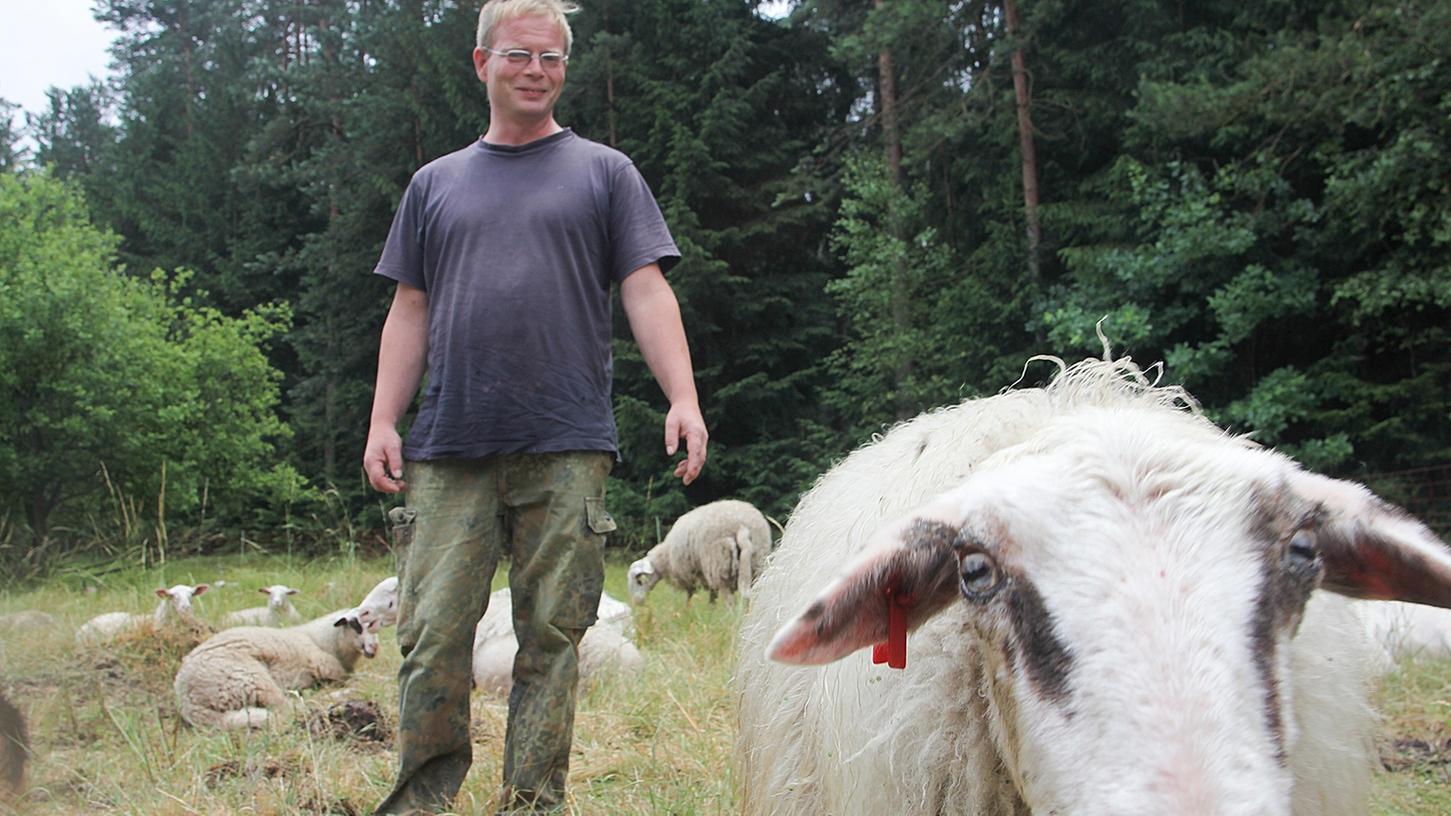 Schäfer Frank Zöcklein sorgt sich um das Wohl seiner Herde - In den letzten Monaten gab es immer wieder Angriffe auf die Tiere.