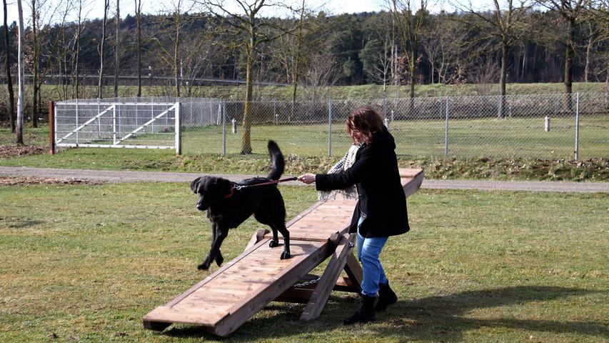 Einen Geschicklichkeits-Parcours für Hunde, auch Agility Park genannt, gibt es auch am Kleinen Brombachsee.