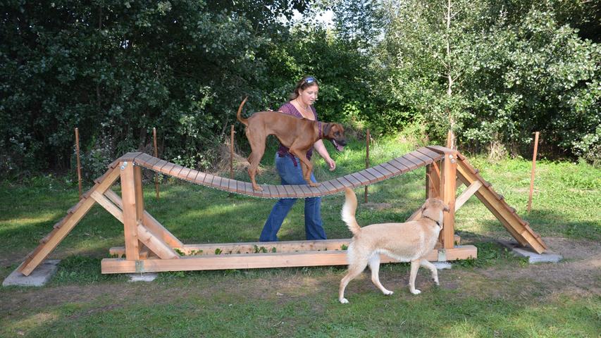 Dort gibt es sogar einen Hundespielplatz: Auf Hängebrücken und mit Holzspielgeräten können sich die Vierbeiner so richtig austoben.