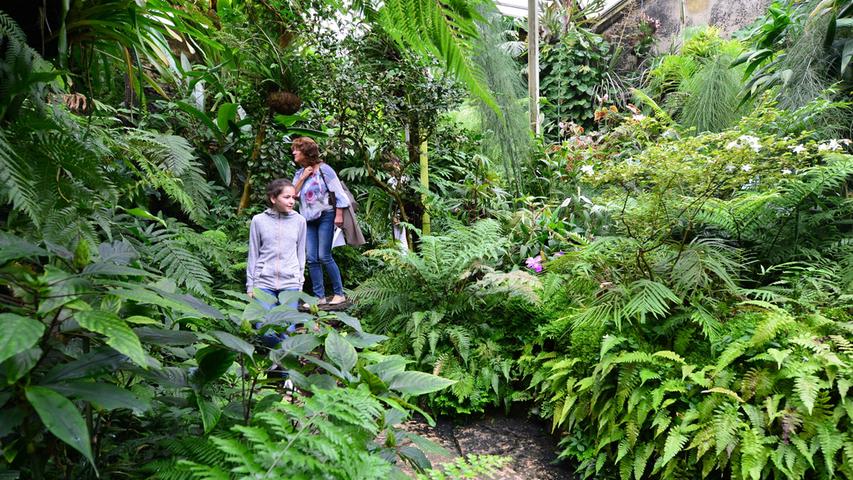 Botanischer Garten lockt mit Expedition ins Unbekannte