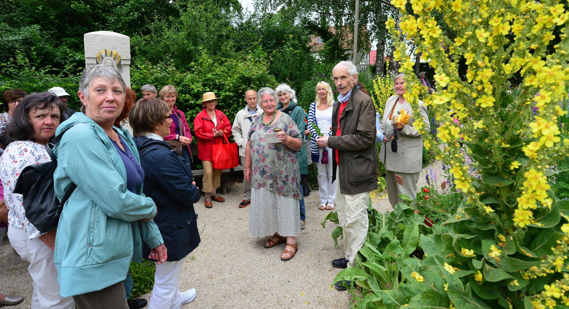 Heilende Krauter Von Der Heiligen Hildegard Neumarkt Nordbayern