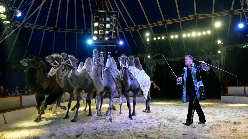 Circus Carelli gastiert in Erlangen