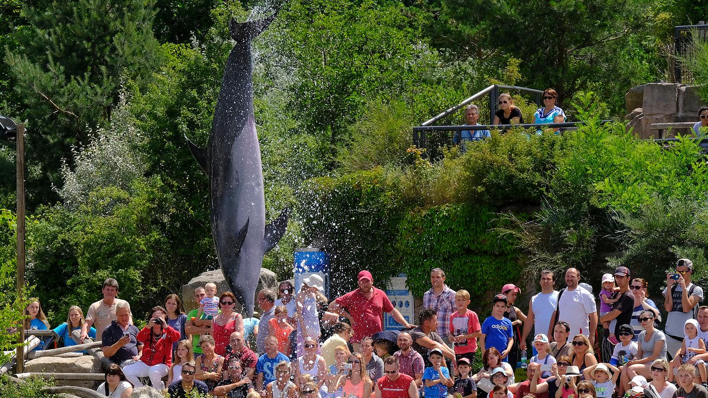 Die Delfinshows im Nürnberger Tiergarten sind stets gut besucht.