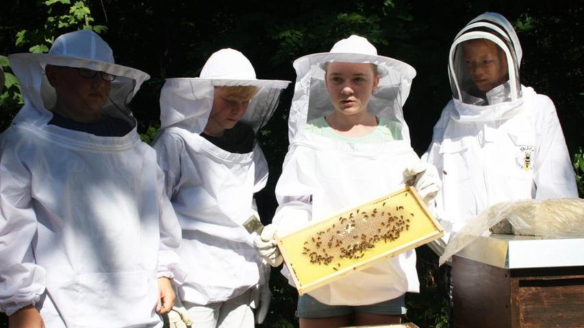 Realschüler in Feucht haben Bienen im Pausenhof