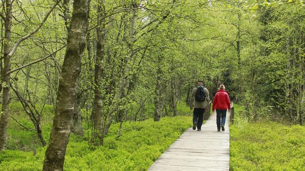 Es geht mit Wasserkuppe, Kreuzberg, Heidelstein und Ellenbogen über die höchsten Erhebungen des Mittelgebirges, Schritt für Schritt über Wiesen, die weiten Ausblicke wechseln sich ab mit dunklen Mooren. Mit dem Kurort Bad Kissingen, dem Museumsdorf Tann und der jahrhundertealten Wallfahrts- und Brautradition auf dem Kreuzberg ist der Weg auch an kulturellen Höhepunkten reich. Alle Infos zur Strecke und einzelnen Etappen gibt es hier.