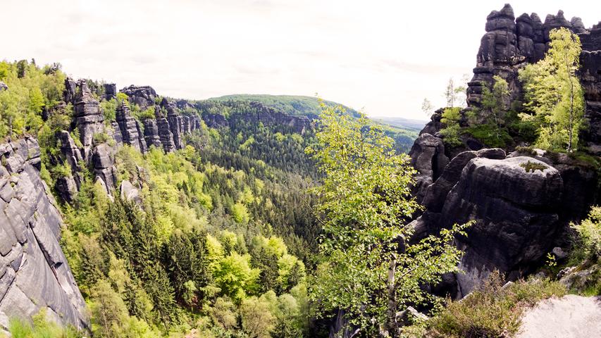 Und wieder ein grandioses Panorama: Der Schmilkaer Kessel im Vordergrund und die nördlichsten Ausläufer der Tschechischen Republik im Hintergrund.