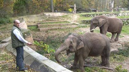 Tiergarten Nürnberg verzichtet auf Elefanten