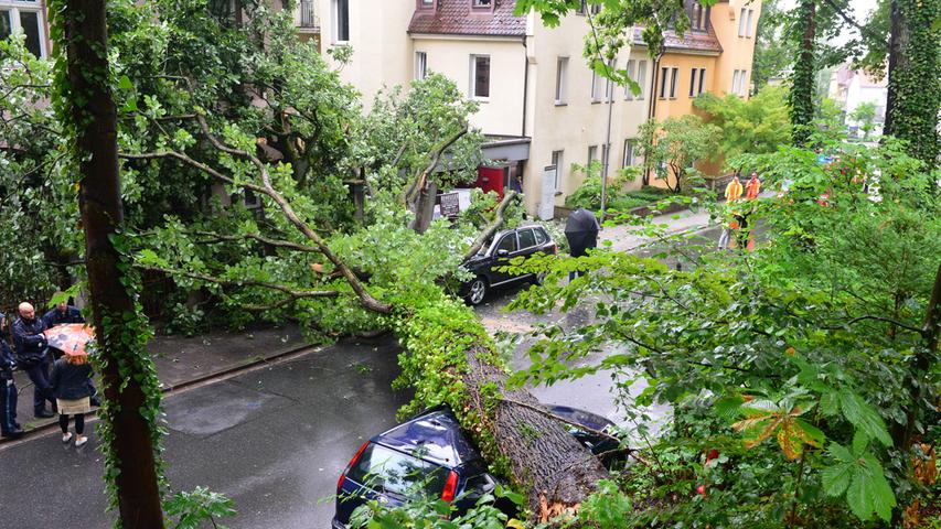 Großer Schaden: Baum zerstört Autos und beschädigt Haus