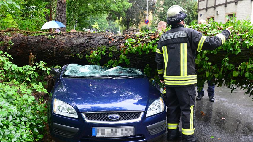 Großer Schaden: Baum zerstört Autos und beschädigt Haus