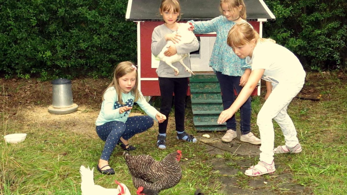 Poxdorfer Schüler: Viel zu tun mit Huhn