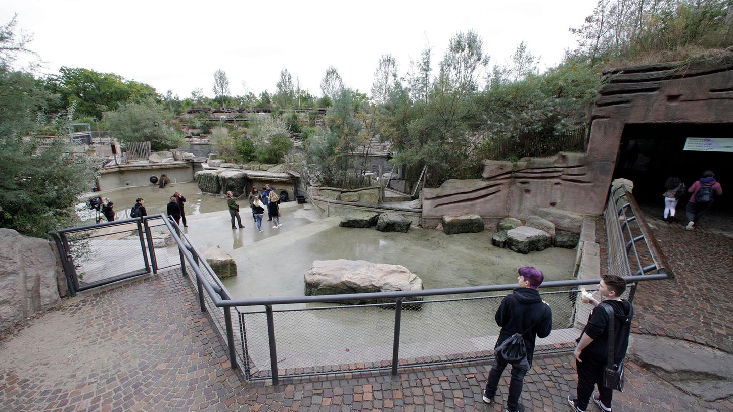 Sanierungsfall Delfinlagune: In zwei Becken wurde im Oktober 2016 das Wasser abgelassen, damit die Gerichtsgutachter Schäden in Augenschein nehmen können.