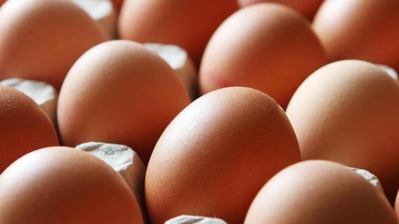 In Millionen von Eiern wurde eine zu hohe Dosis von Fipronil festgestellt. Einige davon sind auch nach Deutschland gelangt. In Millionen von Eiern wurde eine zu hohe Dosis von Fipronil festgestellt. Einige davon sind auch nach Deutschland gelangt.
