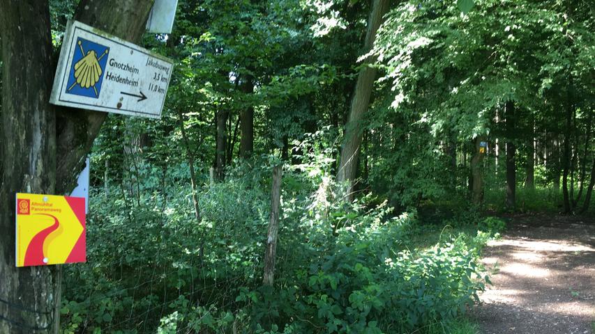 Heidenheim - elf Kilometer. Der Jakobsweg führt Matthias Kronau ans Ziel.