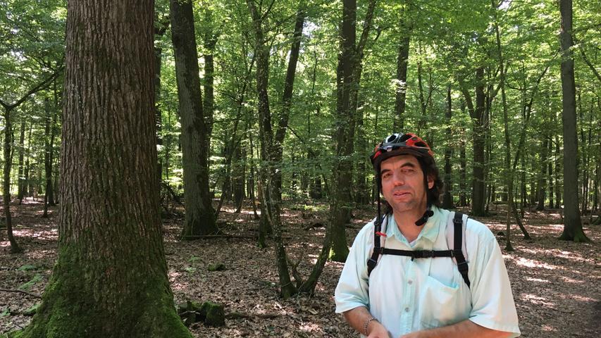 Der Radler Armin Meeder aus Gnotzheim hat bei dieser Hitze den Waldweg genommen. Das Ziel des 49-Jährigen ist Gunzenhausen.