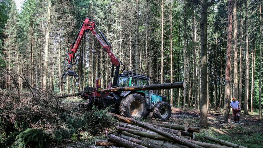 Das ist momentan ein echtes Problem. Die Waldunternehmer können sich vor Aufträgen kaum retten.