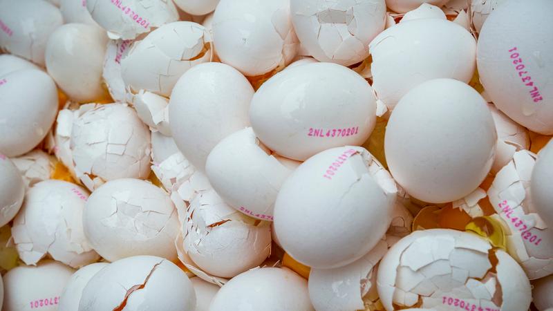 Forchheimer randaliert in Supermarkt und wirft mit Eiern um sich