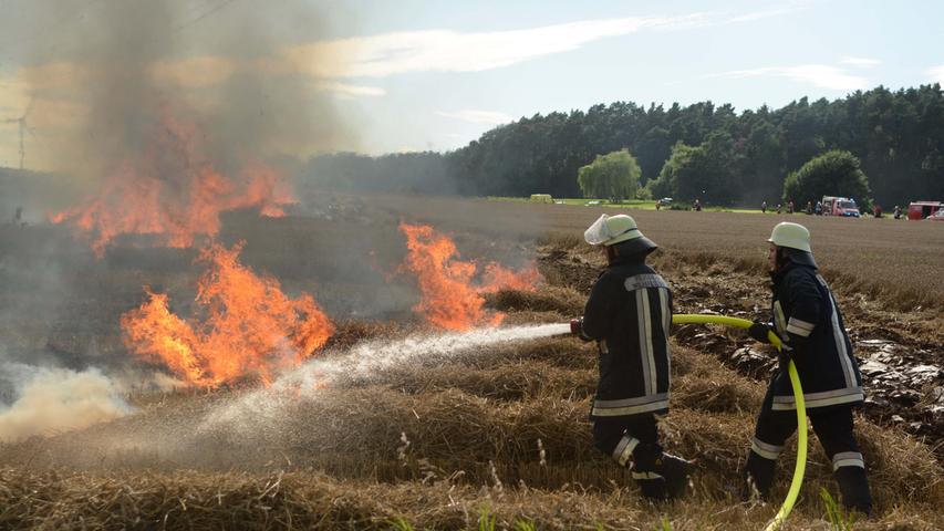 Mehrere Hektar in Flammen: Feuerwehr kämpft gegen Feldbrand