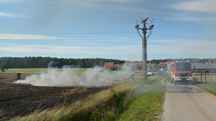 Mehrere Hektar in Flammen: Feuerwehr kämpft gegen Feldbrand 