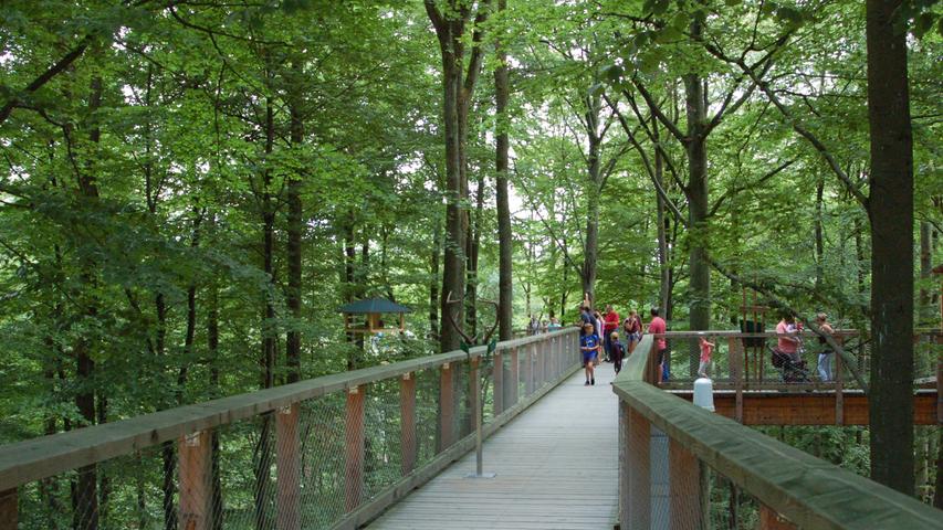 Spaziergang über den Baumkronen des Steigerwalds