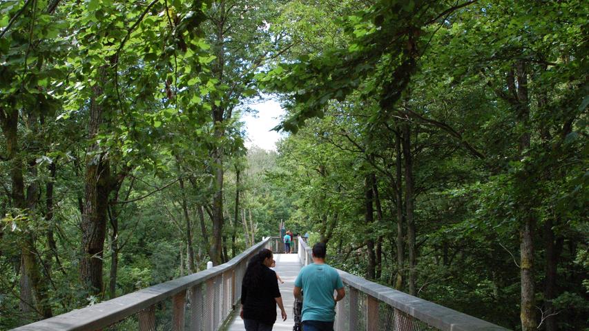 Spaziergang über den Baumkronen des Steigerwalds