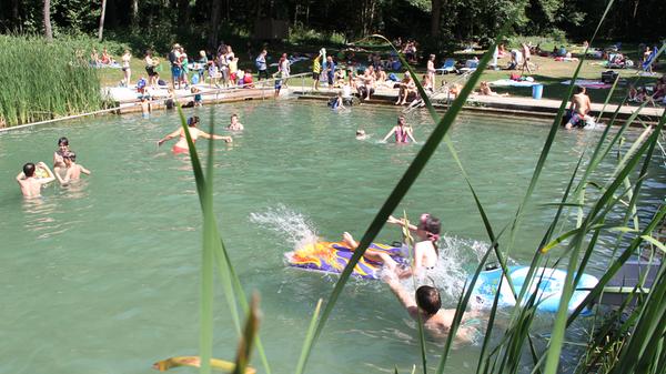 Das Naturgartenbad in Weißenbrunn im Nürnberger Land ist der Geheimtipp für Familien mit kleinen Kindern - und kleinem Geldbeutel. Denn der Eintritt ist frei. Wer möchte, darf beim Hinausgehen eine Spende in den Briefkasten einwerfen. Das Bad hat einen Schwimmer- und einen Kinderbereich, der optisch durch eine kleine hübsche Bogenbrücke abgetrennt ist. Durch das Areal fließt auch ein kleiner Bach für die ganz kleinen Kinder - der auch durch einen Sandspielplatz verläuft. Daneben gibt es auf dem weitläufigen Areal neben vielen alten Bäumen und damit ausreichend Schattenplätzen auch noch einen Beachvolleyball- sowie einen schönen Spielplatz. Der Kiosk hat ein großes Angebot an kalten und warmen Speisen. Parkplätze sind nur begrenzt vorhanden. Die Anreise mit dem Rad ist am bequemsten. Adresse: Naturbad Weißenbrunn, Badstraße 6, 91227 Leinburg