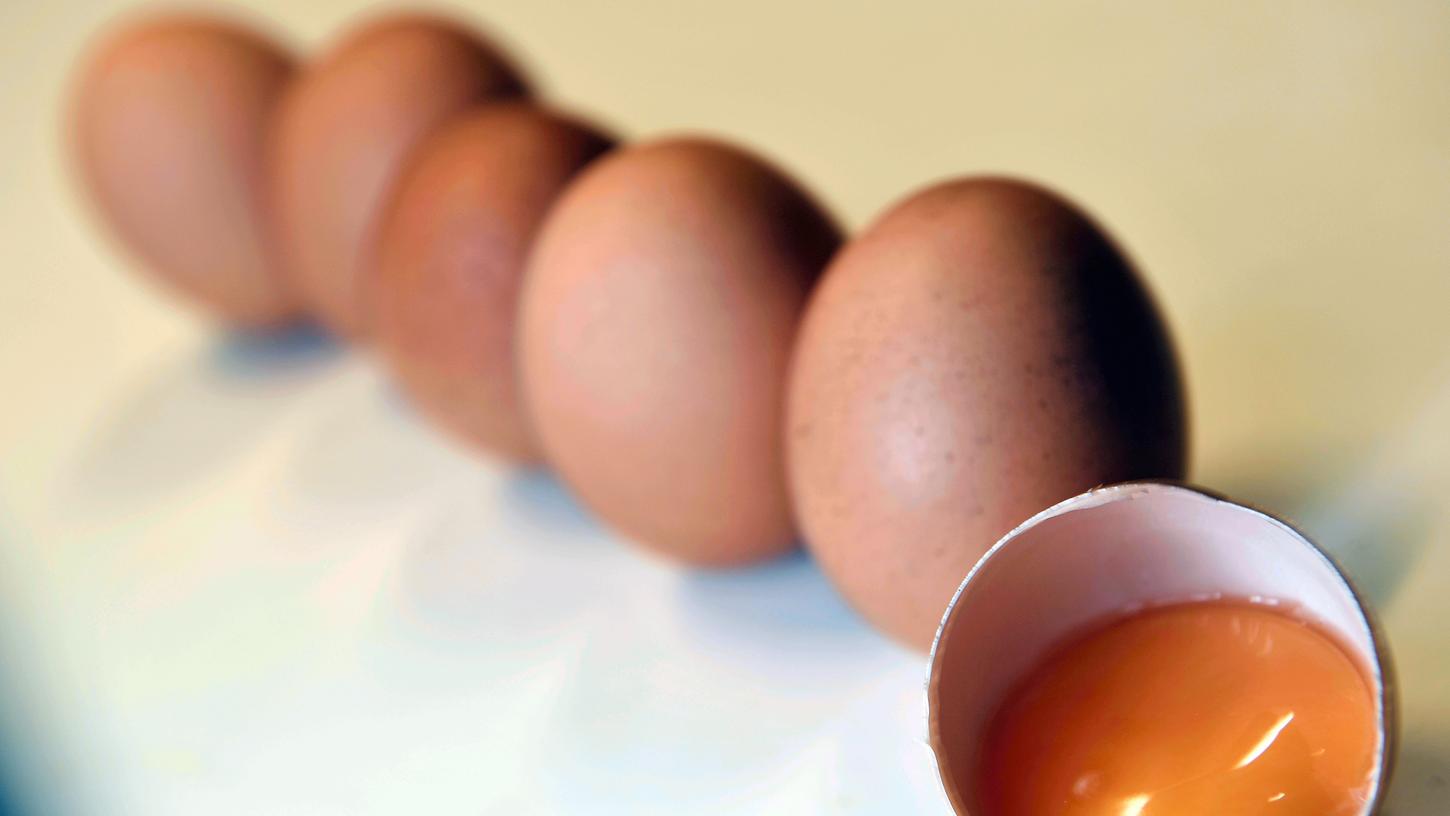 Laut einem Bericht der "Neuen Osnabrücker Zeitung" wurden allein nach Niedersachsen 28 Millionen Eier geliefert, die möglicherweise mit Fipronil belastet sind.