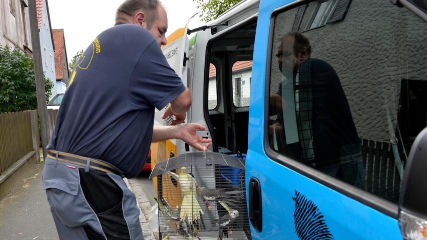 Behutsam stellten die Mitarbeiter der Tierheime Käfige und Transportboxen in ihre Fahrzeuge.