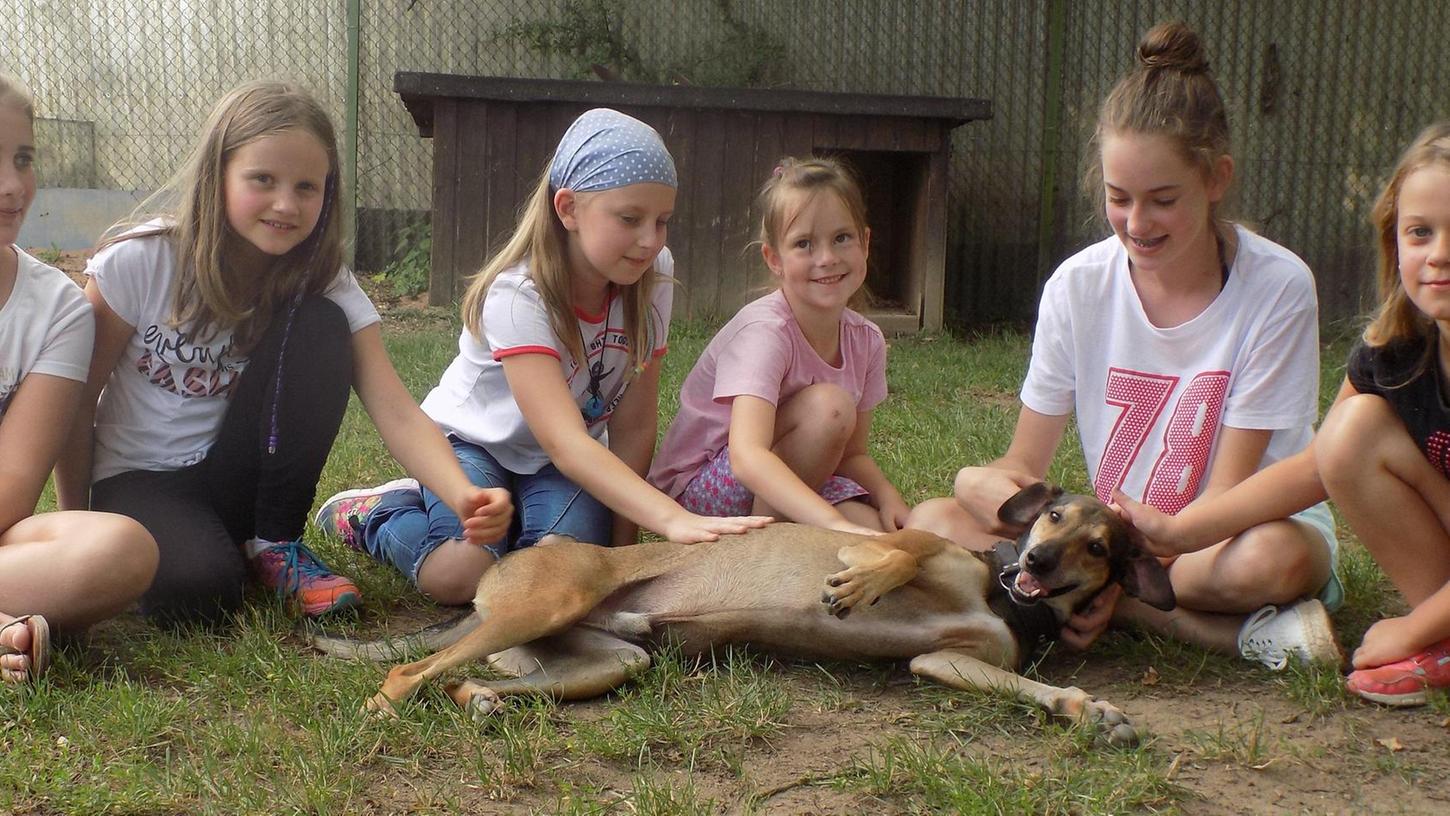 Jana (9), Paula (9), Maria (9), Corinna (6), Emely (12) und Lisa (7) kümmern sich nach einem anstrengenden Spaziergang um den erschöpften Hund Pepe.