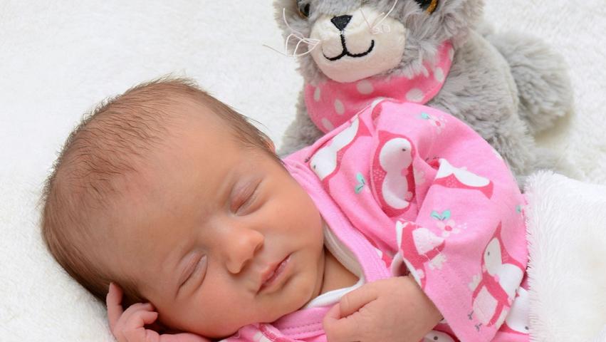 Gut bewacht von ihrem kuscheligen Gefährten schläft Stella nach ihrer Geburt am 4. August 2017. Sie wog 3080 Gramm und war 51 Zentimeter groß, als sie in der Klinik Hallerwiese auf die Welt kam.