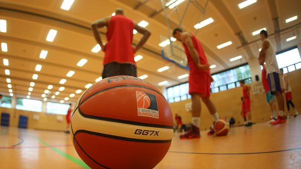 Falcons Nürnberg - Trainingsauftakt