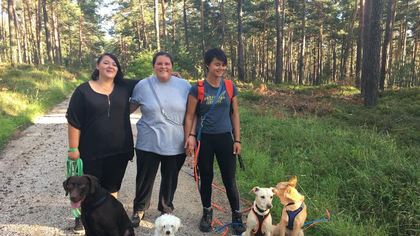 Das sind Sarah, Sabine und Nini mit ihren Hunden, genauer gesagt vier ihrer Hunde. Die anderen drei hatten heute schon genug Auslauf. Schön sei es hier im Wald nahe Weißenbrunn, sagen die Mädels aus Simmelsdorf und Hersbruck, und auch den Hunden gefällt's - besonders der sandige Boden.